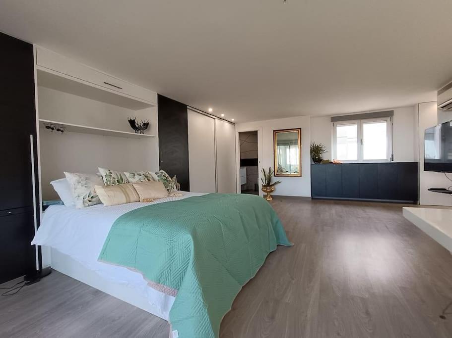 Spacious Studio By The University San Vicente Raspeig Exterior foto